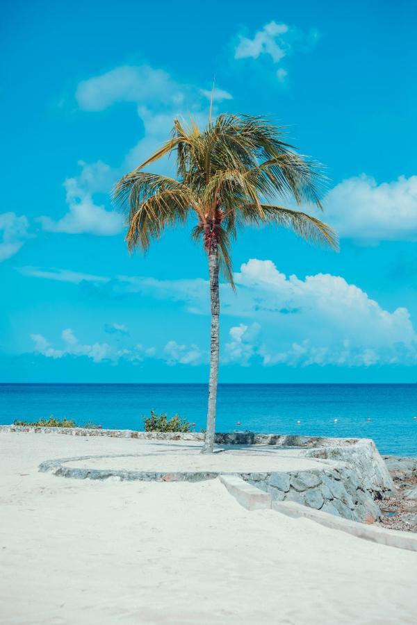 Beach House Luxury Vacation - Paradise 2 Prívate Master Suites Ocean&garden View Bed and breakfast
