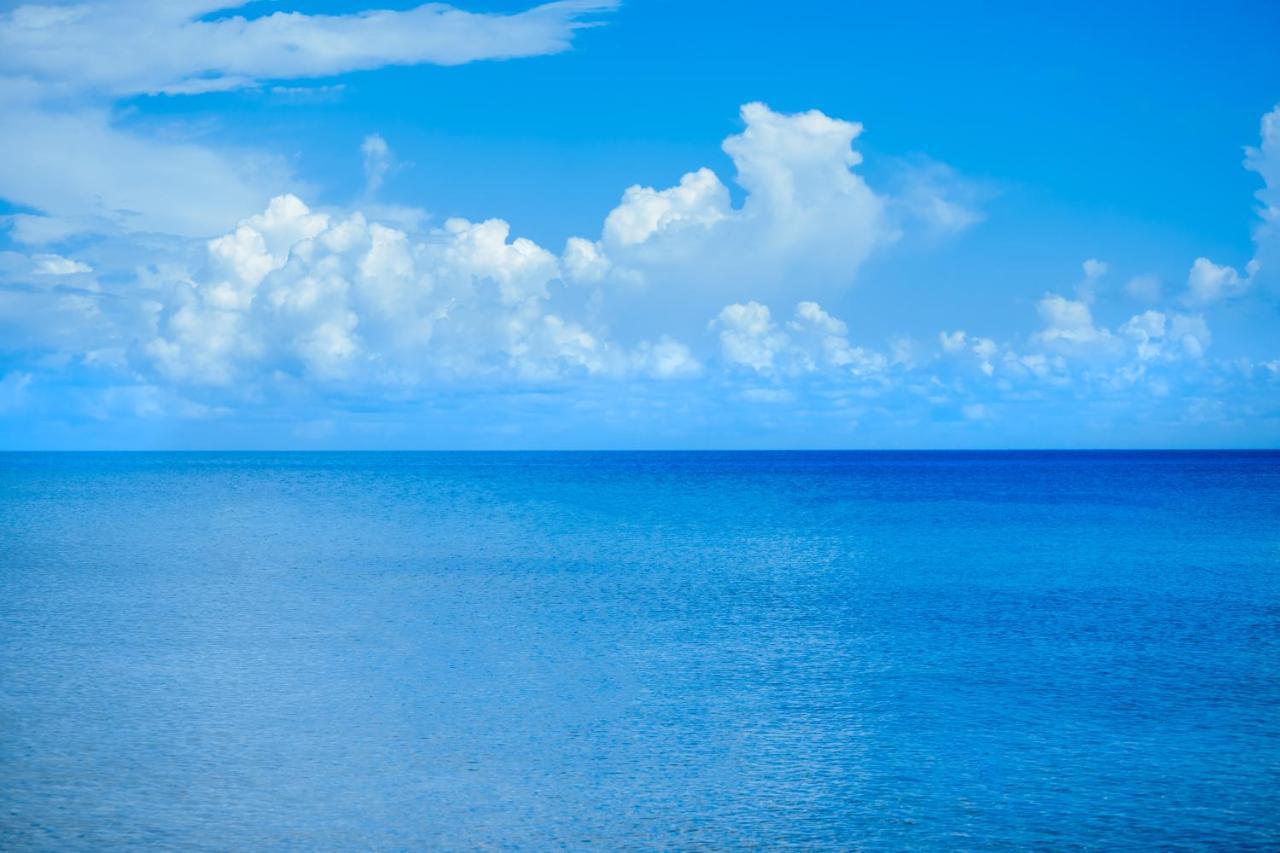 Beach House Luxury Vacation - Paradise 2 Prívate Master Suites Ocean&garden View Bed and breakfast