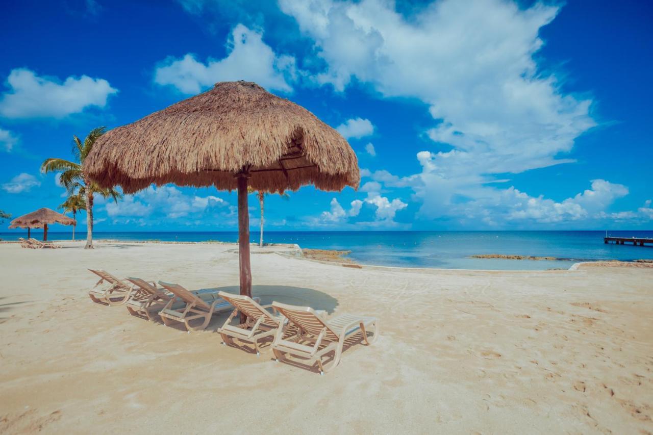 Beach House Luxury Vacation - Paradise 2 Prívate Master Suites Ocean&garden View Bed and breakfast *